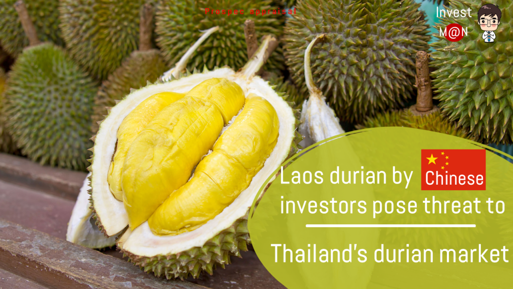 Laos durian